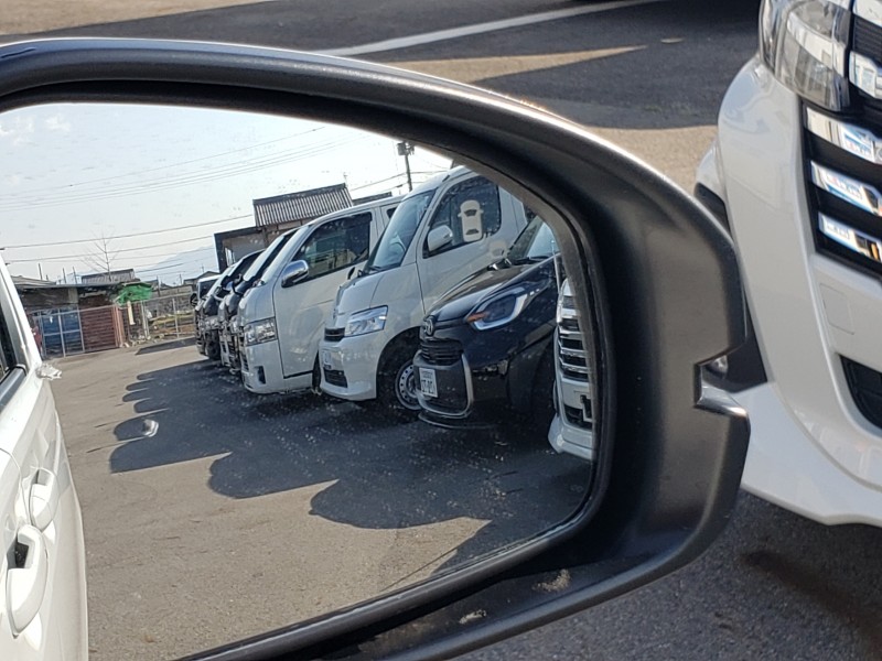 フリード24枚目