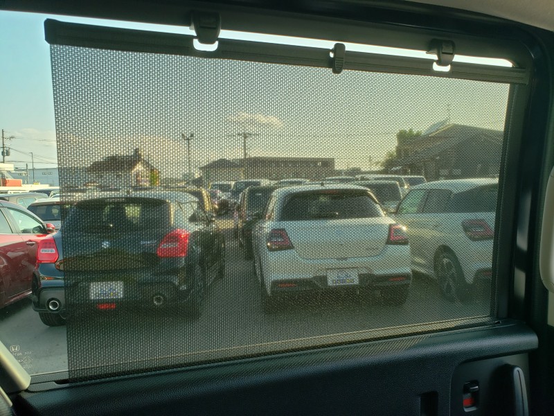 フリード37枚目