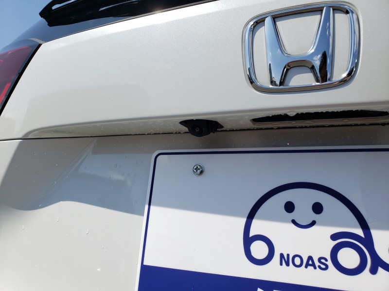 フィット11枚目