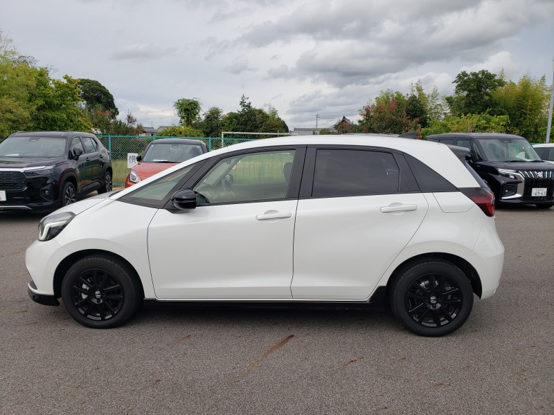 フィット11枚目