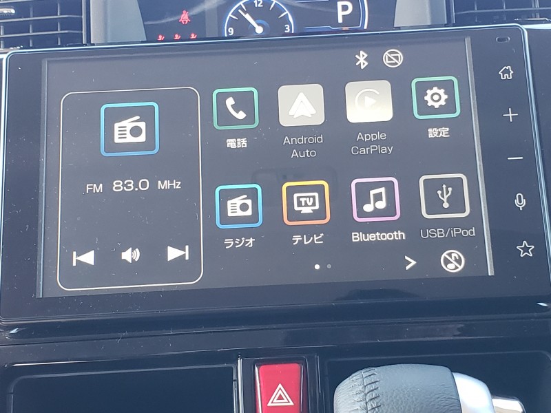 ルーミー24枚目