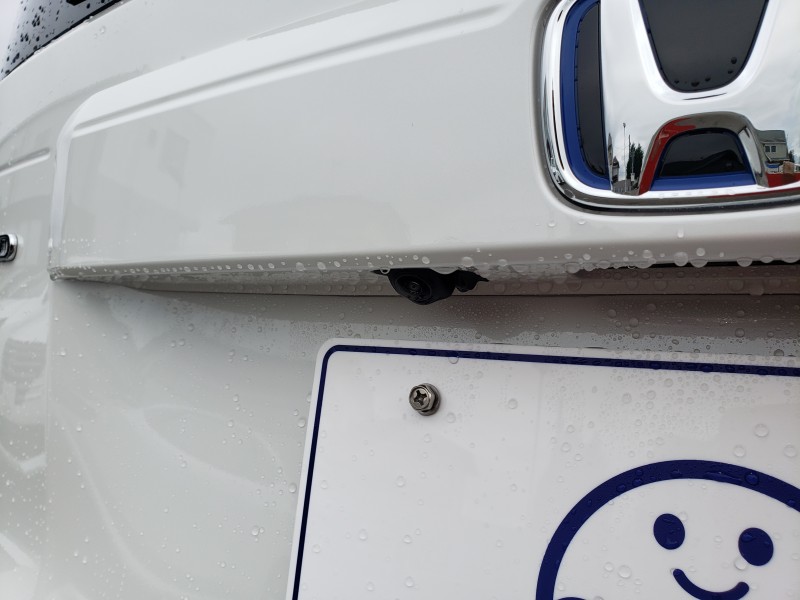 フリード14枚目