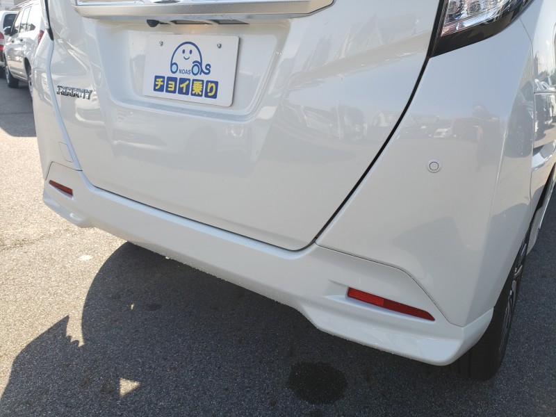 ルーミー14枚目