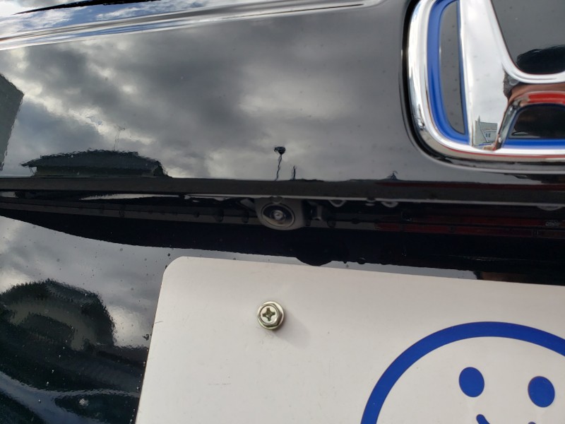 フリード12枚目