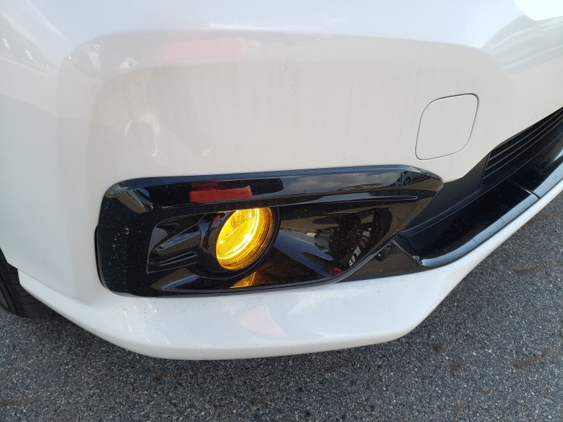 フリードプラス10枚目